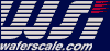 WaferScale